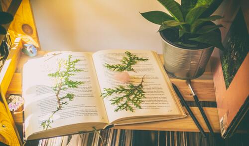 10 Bücher über Nachhaltigkeit, die du gelesen haben solltest